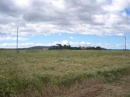The Site